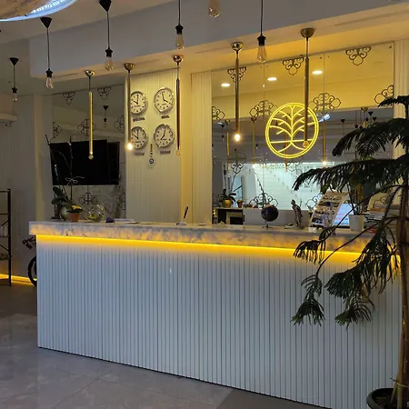 Mi Hotel Boutique-3