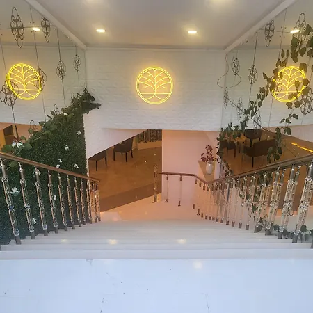 Mi Hotel Boutique-3